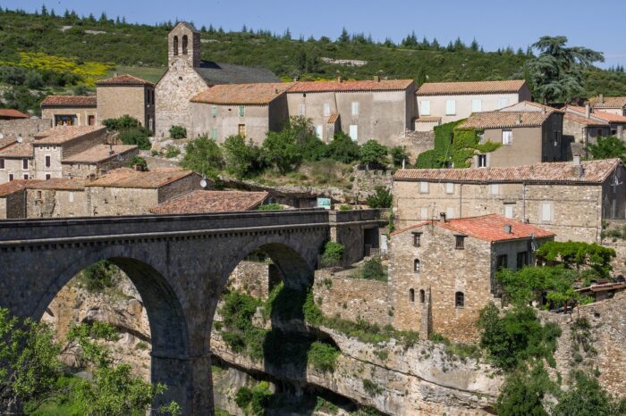 MINERVE & TERRA VINEA (GRP)