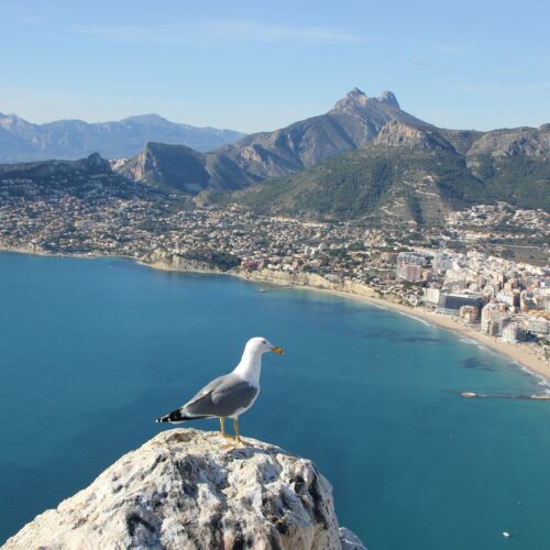 LA COSTA BLANCA (GROUPE)