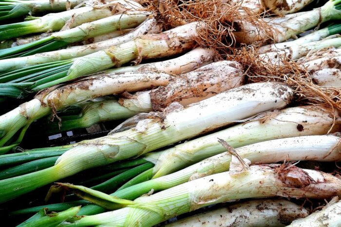 CALCOTADA A LA VAJOL (GRP)
