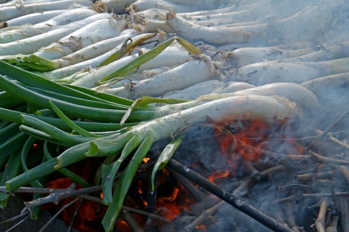 CALCOTADA A EMPURIES Samedi 01 Février 2025